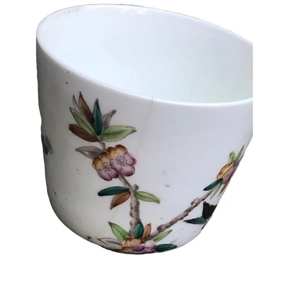 Antique W.A.A. William A Adderley bone China cup and saucer  THORN Birds